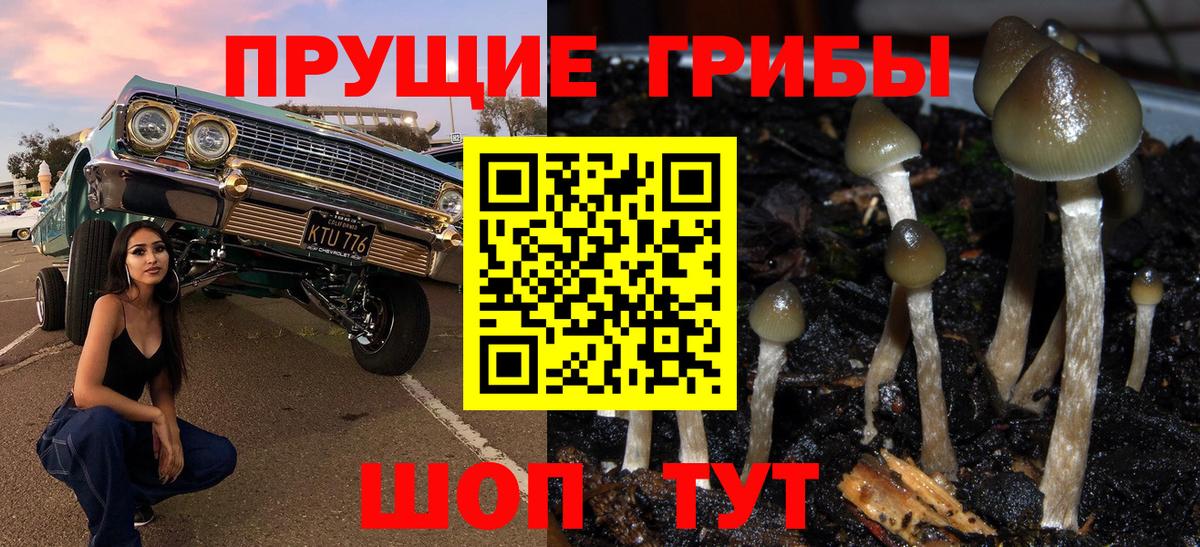 Псилоцибиновые грибы MAGIC MUSHROOMS  Вход с VPN  Туапсе 
